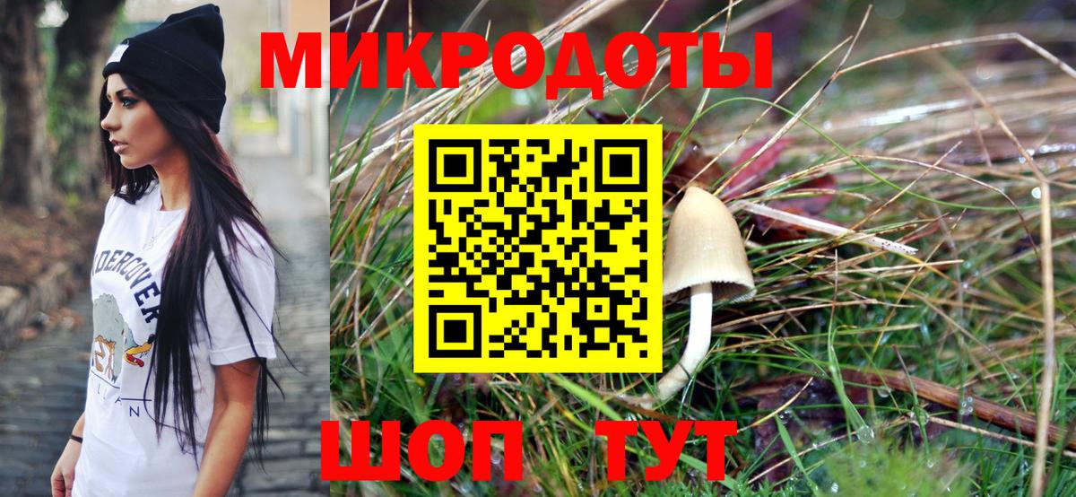 наркота  Псилоцибиновые грибы Psilocybe  Зима  Вход с VPN  Галлюциногенные грибы Magic Shrooms 