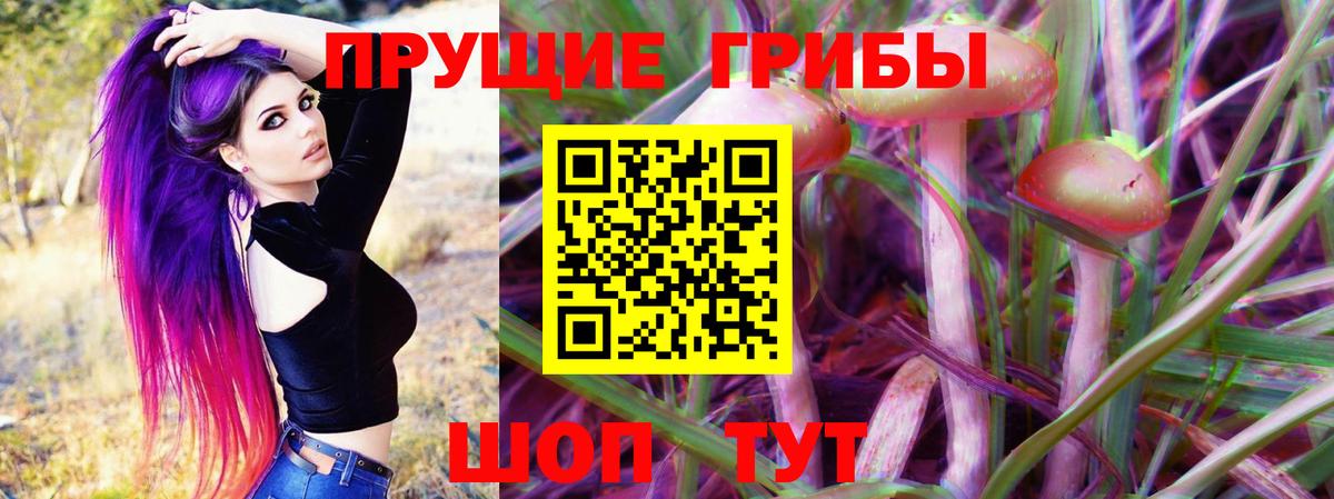 Псилоцибиновые грибы Magic Shrooms Зима